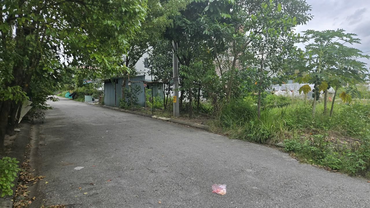 Đất nền Đồng Ông, Đan Phượng, 60m² giá 7 tỷ - Vị trí đẹp, tiềm năng lớn!