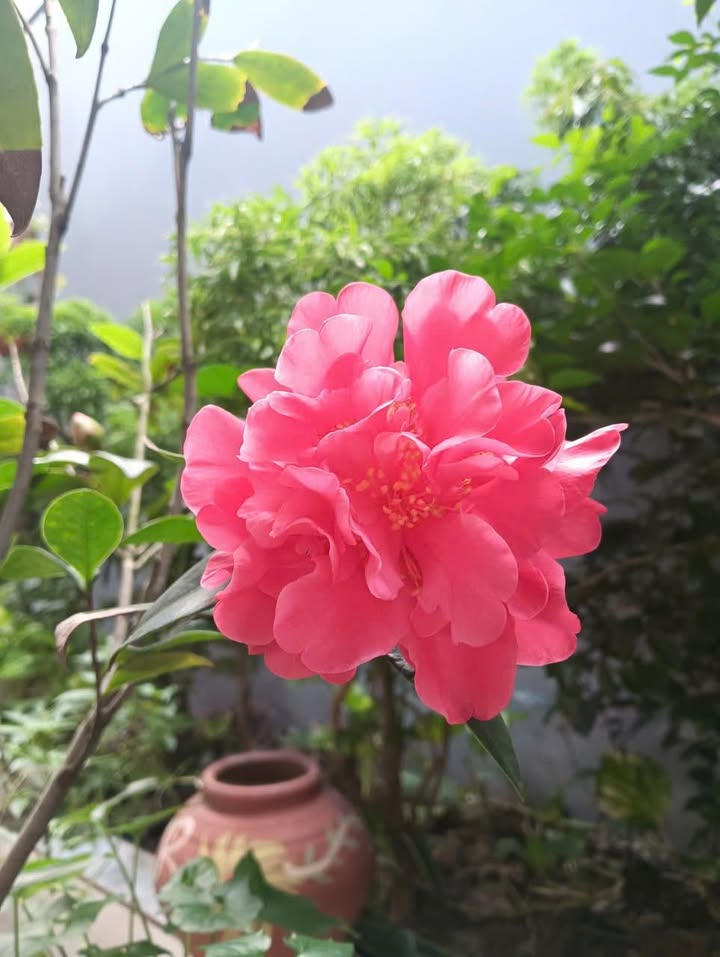 Đất nền Lệ Tảo, Kiến An 144m² giá 4.5 tỷ - Đầu tư sinh lời ngay!