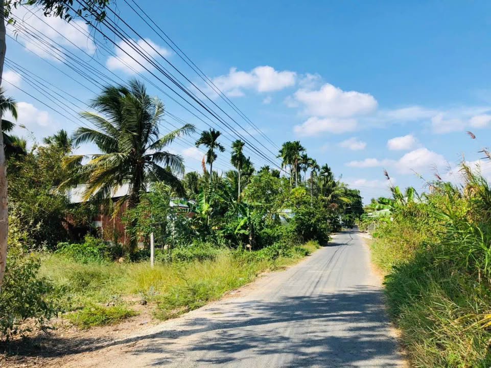 Đất mặt tiền đường Cao Thắng, phường 8, TP. Sóc Trăng - Diện tích 336m² chỉ 800 triệu!