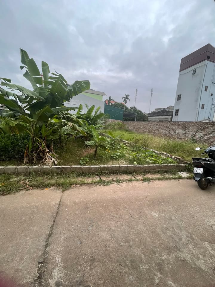 Đất nền Tự Nhiên Thường Tín 80m² giá thỏa thuận - Gần trường học, giao thông thuận lợi!