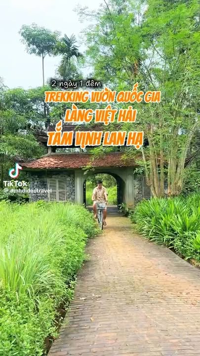 Đất nền tiềm năng xây dựng Home Stay tại xã Việt Hải, Cát Bà - 7614m² giá thỏa thuận