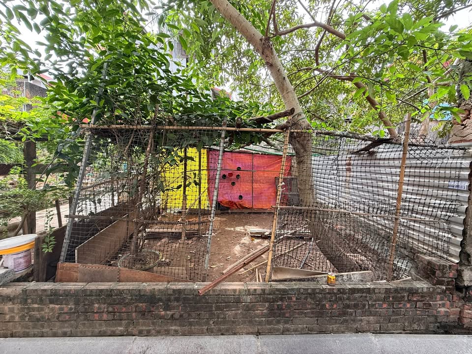 Đất nền Xuân Canh, Đông Anh 48m² giá 4 tỷ - Vị trí đắc địa gần chợ!