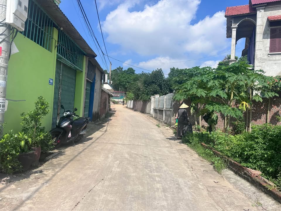 Đất nền Lương Quy, Xuân Nộn, Đông Anh 41.8m² - Cơ hội đầu tư sinh lời tuyệt vời!