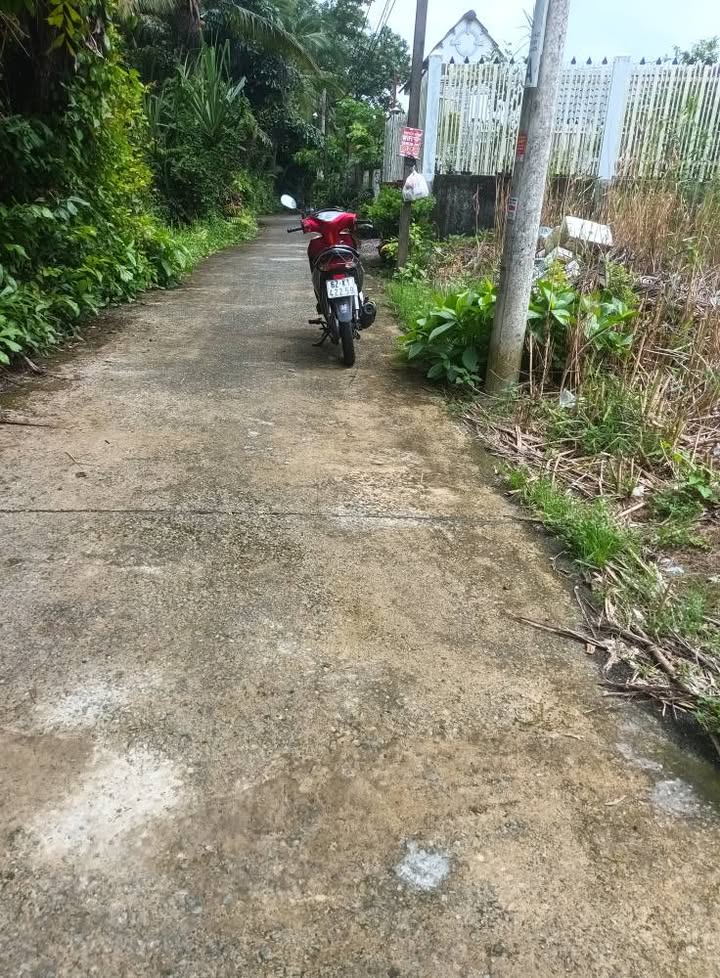 Đất vườn Bình Tâm, Tân An 1034m² giá 2.2 tỷ - Đường ô tô vào tận nơi!