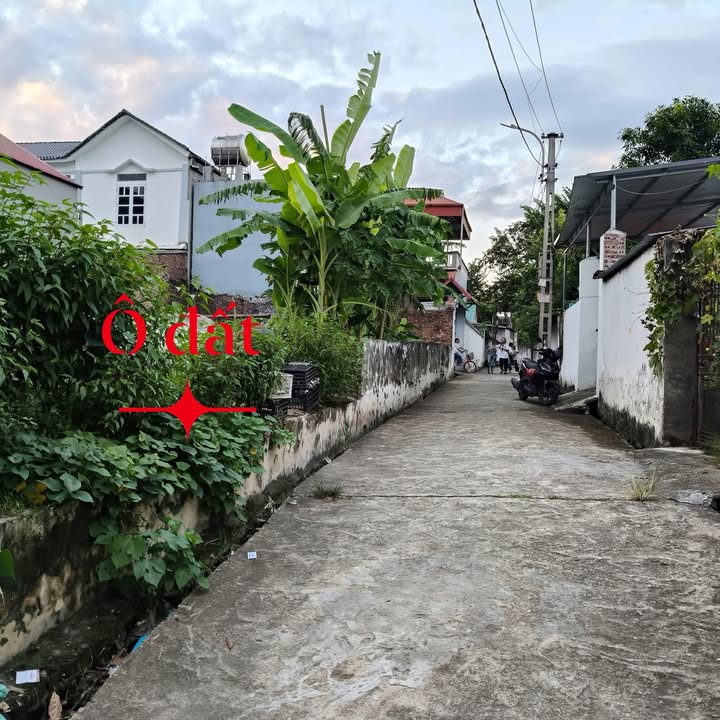 Đất thổ cư 82m² tại Dịch Đồng, Yên Lạc - Giá chỉ 500 triệu VND!