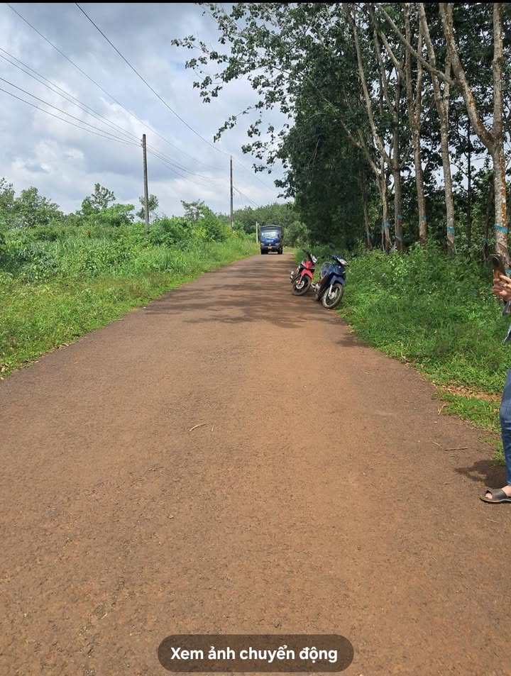 Đất nền 500m² tại Đức Liễu, Bù Đăng giá 350 triệu - Sổ đỏ chính chủ!