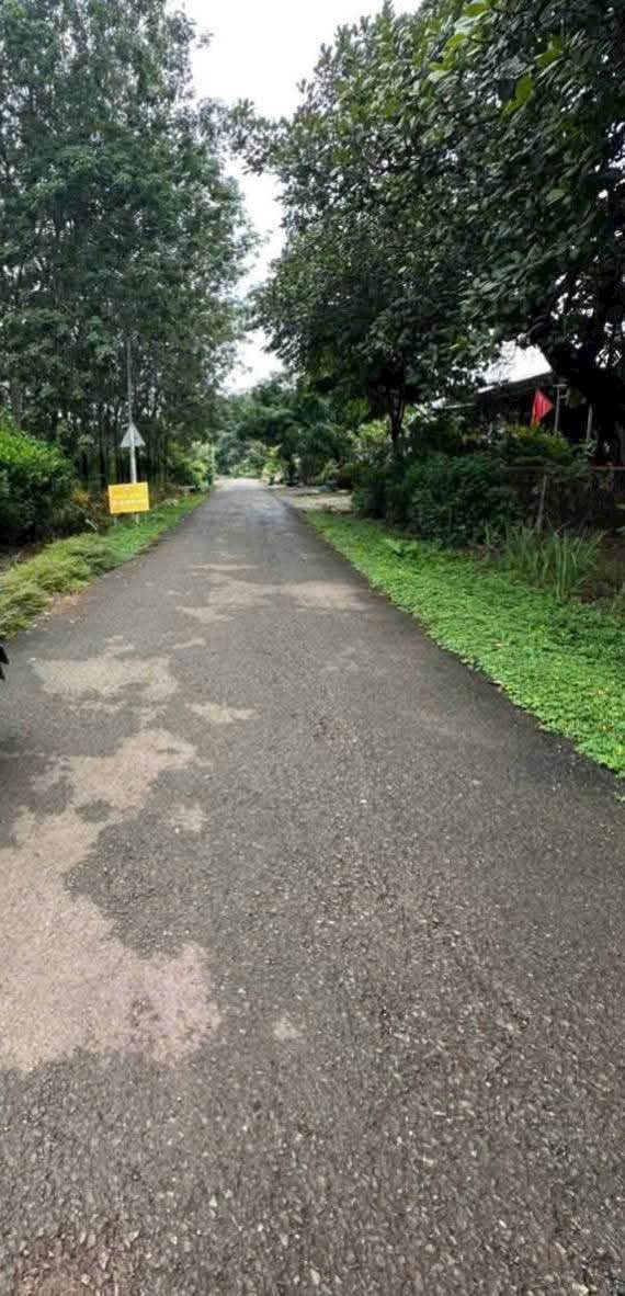 Đất nền 4000m² đường Trục chính xã Thuận Phú giá 600 triệu - Đầu tư sinh lời ngay!