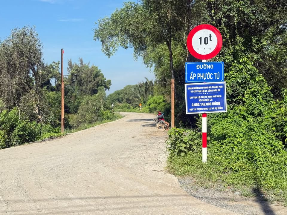 Đất lúa 3000m² tại ấp Phước Tú - Bến Lức giá chỉ 16.5 tỷ - Tiềm năng đầu tư lớn!