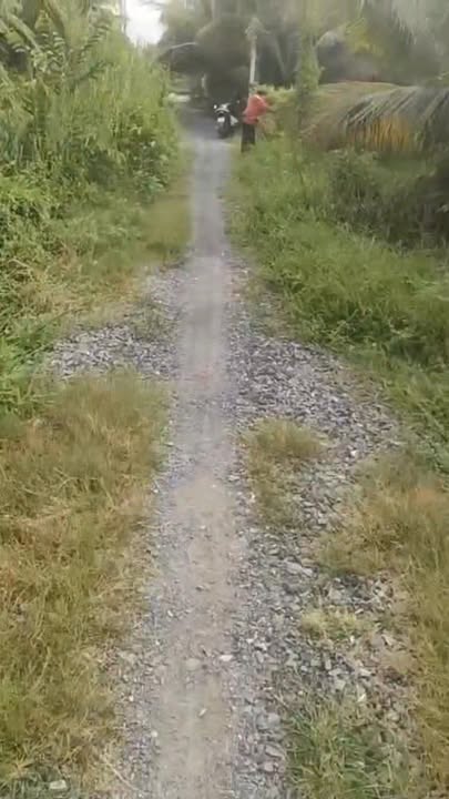 Đất thổ cư 650m² tại Bình Ninh, Chợ Gạo - Sổ hồng rõ ràng, giá thỏa thuận!