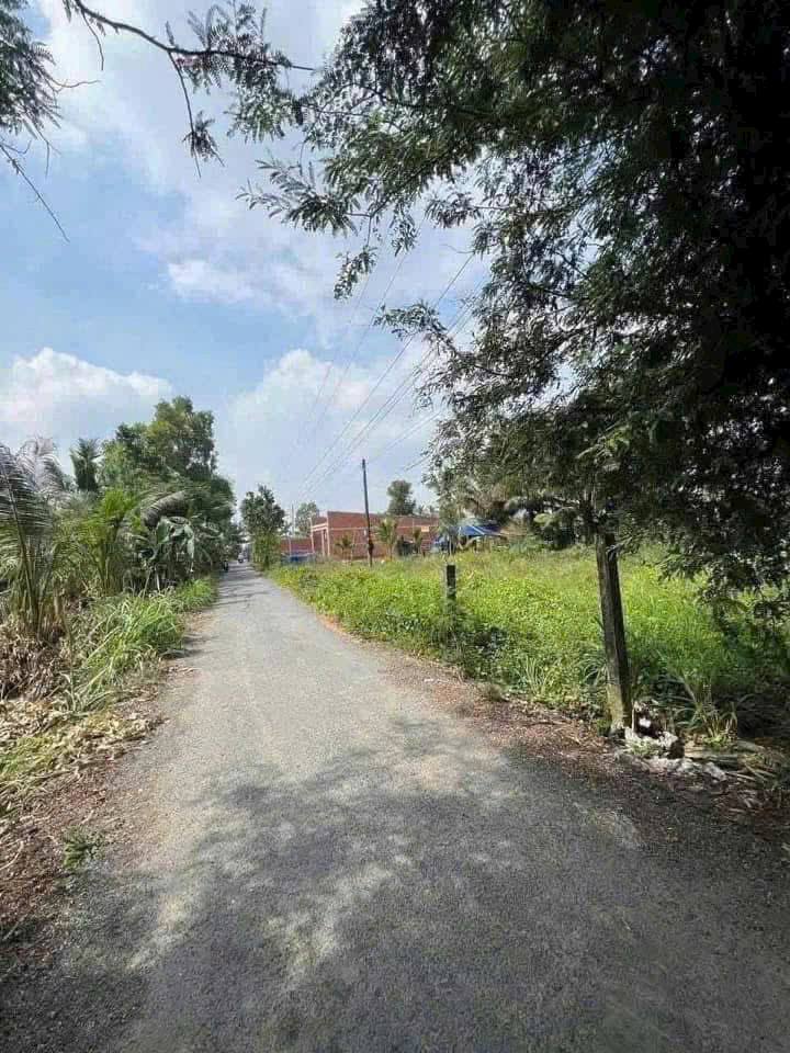 Đất thổ cư An Lục Long 115m² giá 350 triệu - Mặt tiền nhựa thuận lợi!