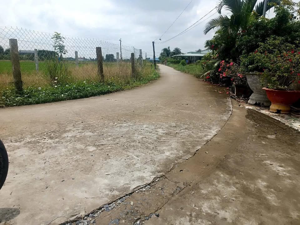 Đất thổ cư và lúa tại Bình Tịnh, Tân Trụ 980m² giá chỉ 1.35 tỷ - Nền có sẵn, thuận lợi xây dựng!