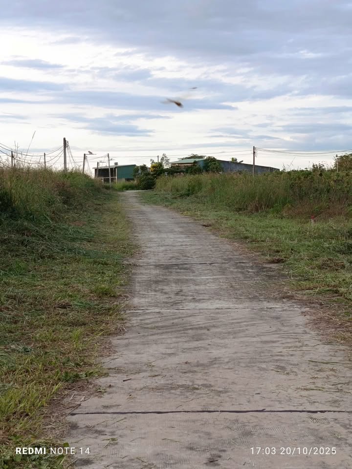 Đất thổ cư 550m² khu phố 5, phường Minh Hưng - Cơ hội đầu tư hấp dẫn!