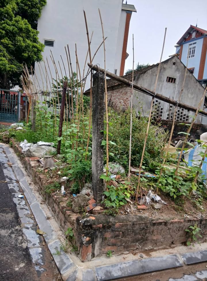 Đất Vĩnh Ngọc Đông Anh 54m² giá 6 tỷ - Đường ô tô vào tận nơi!