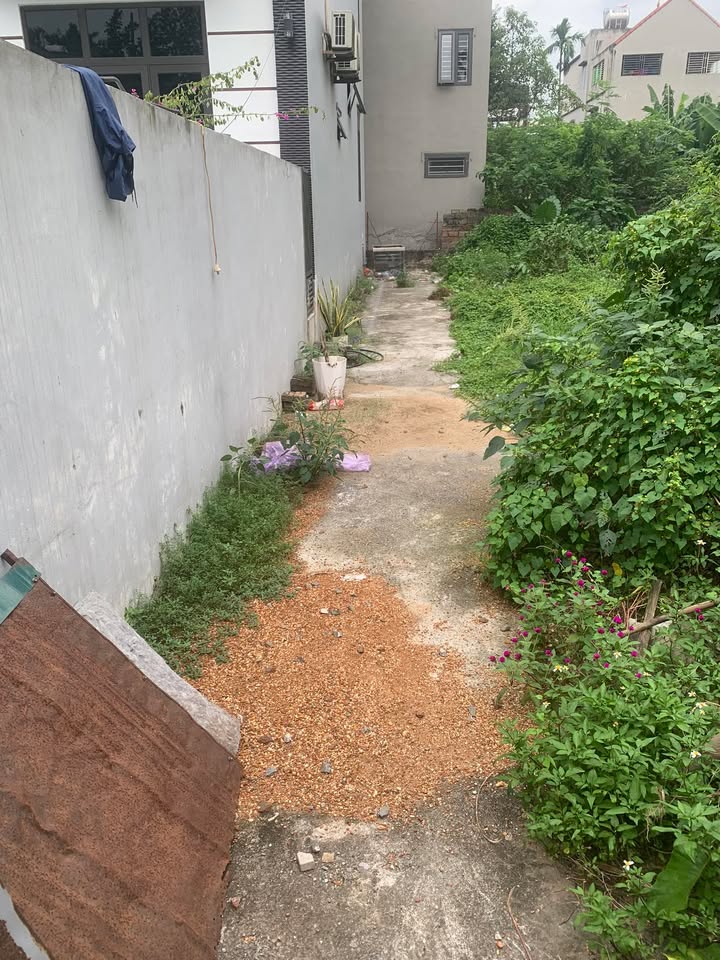 Đất nền Phụng Châu - 46m² giá chỉ 2,75 tỷ - Đầu tư sinh lời ngay!