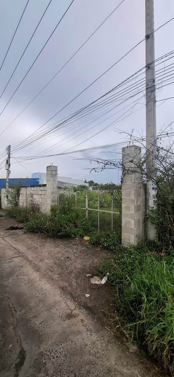 Đất thổ cư 300m² mặt tiền bê tông ô tô tại Hàm Thắng - Giá chỉ 1.8 tỷ