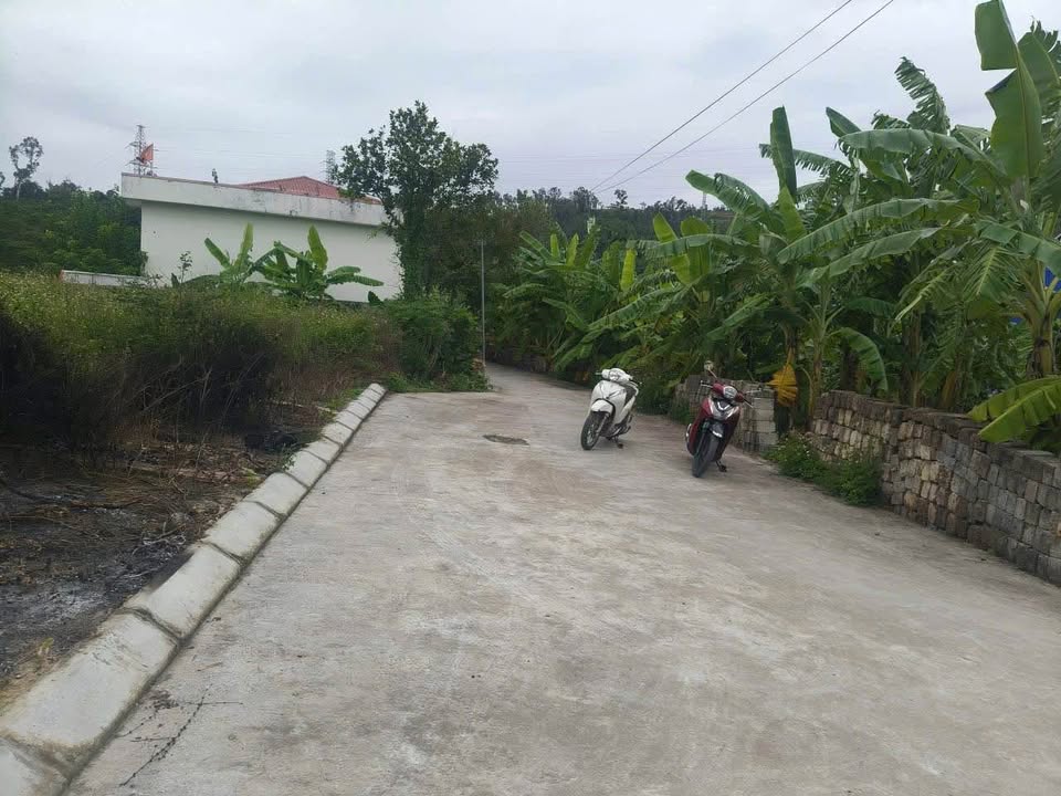 Lô đất đẹp 60m² tại Việt Khê - Thủy Nguyên, giá chỉ 400 triệu - Đầu tư sinh lời!