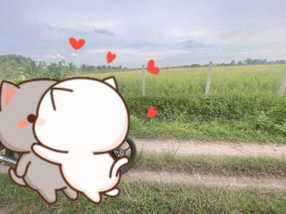 Đất nền Đồng Khởi Châu Thành 1000m² giá 155 triệu - Cơ hội đầu tư hấp dẫn!