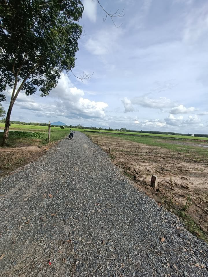 Đất Phước Vinh 160m² giá chỉ 165 triệu - Cơ hội đầu tư tuyệt vời!