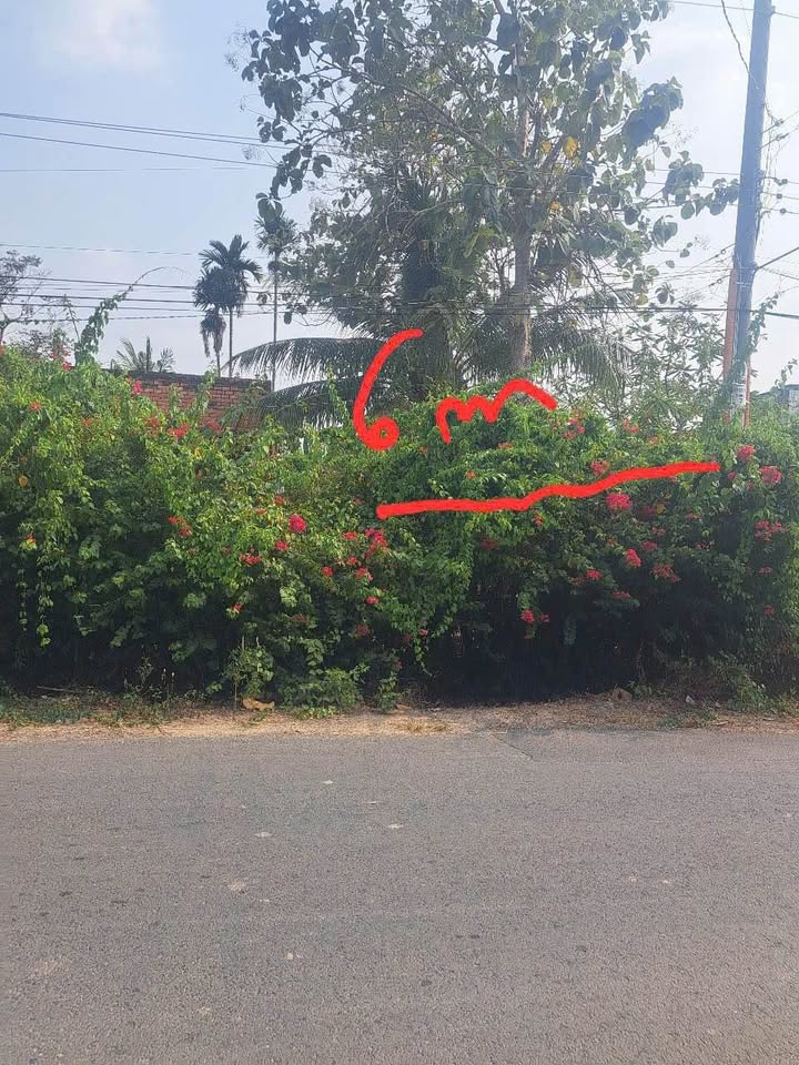 Lô đất thổ cư 169m² tại ấp Thanh Trung, Châu Thành - Giá chỉ 450 triệu!