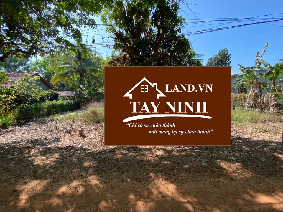 Đất thổ cư 153m² xã Thạnh Bình, Tân Biên giá chỉ 290 triệu - Đầu tư sinh lời!