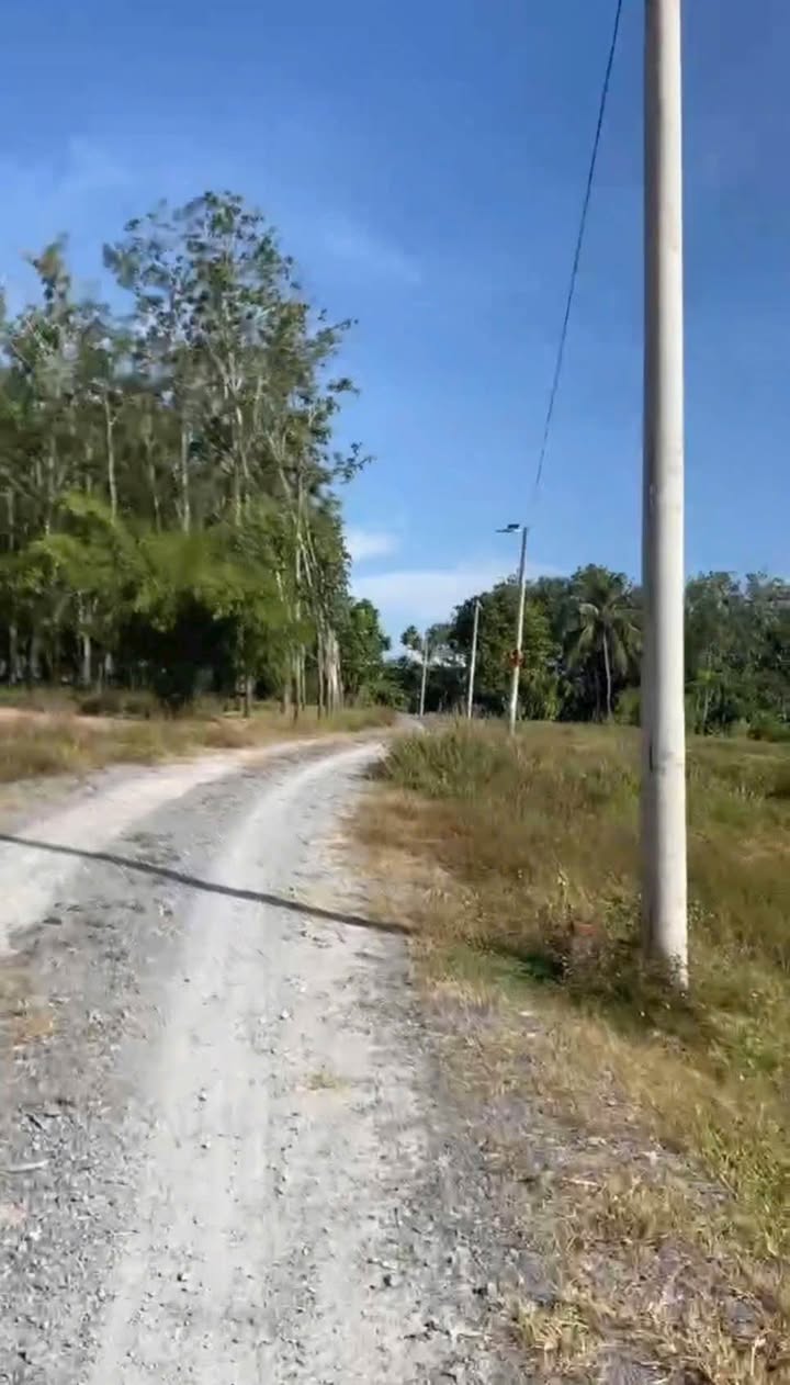 Đất nền Châu Thành Tây Ninh 13081m² giá 200 triệu - Mặt tiền đường Đồng Khởi