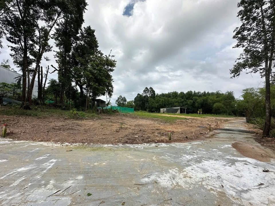 Đất thổ cư 125,6m² tại kiệt 50 Thiên Thai, An Cựu - Chỉ 900 triệu!