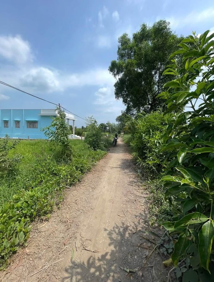 Đất thổ cư 300m² tại Tân Thành, Thủ Thừa - 1907m² chỉ 2.25 tỷ - Tiềm năng phát triển lớn!