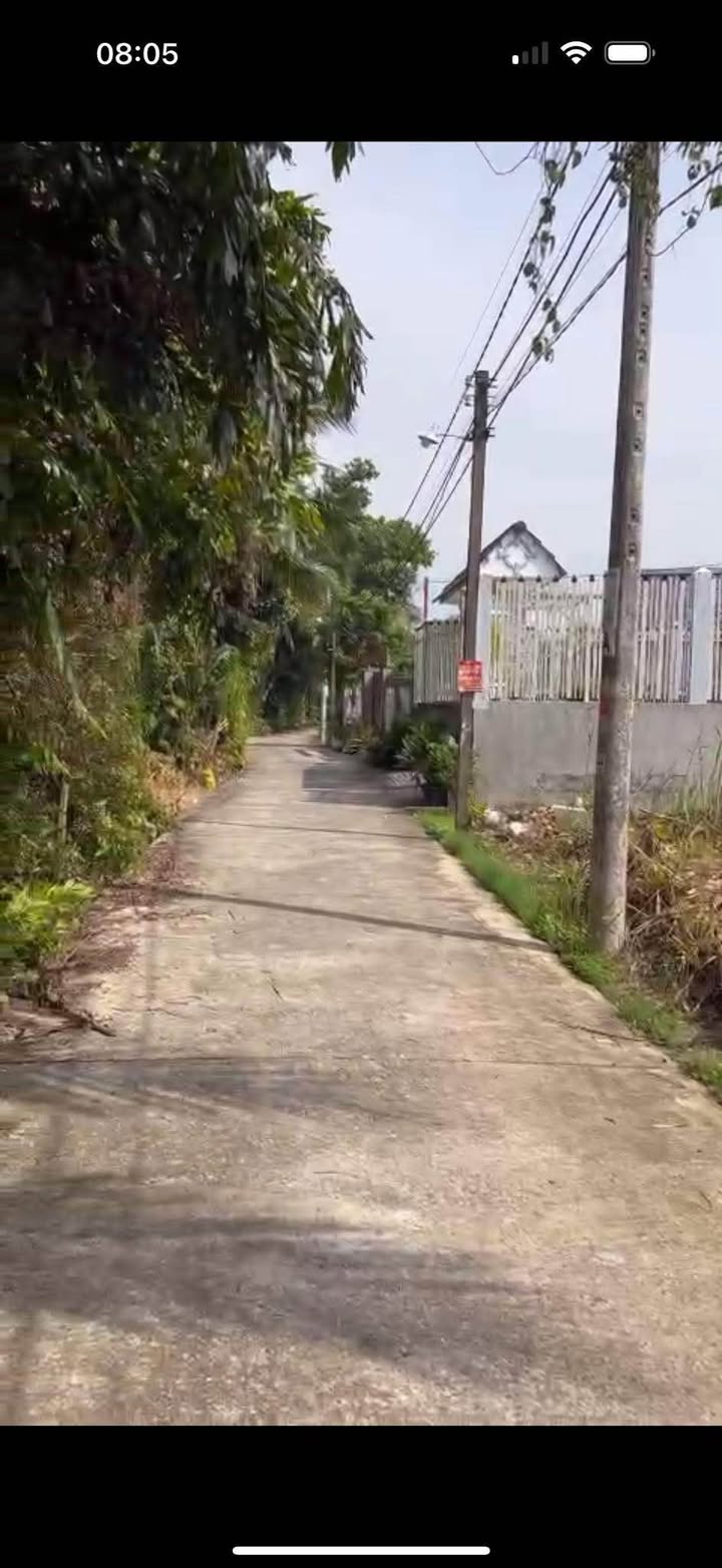 Đất vườn 1000m² xã Bình Tâm, Tân An - Giá 2.2 tỷ, Đường ô tô vào tận nơi!