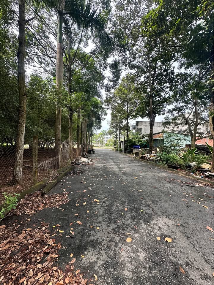 Đất thổ cư Phường 6, Tân An 90m² giá 2.45 tỷ - Nằm gần trung tâm AEON!