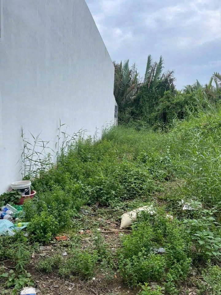 Đất thổ cư 130m² Nhựt Chánh Bến Lức giá 560 triệu - Sổ hồng riêng, đường ô tô