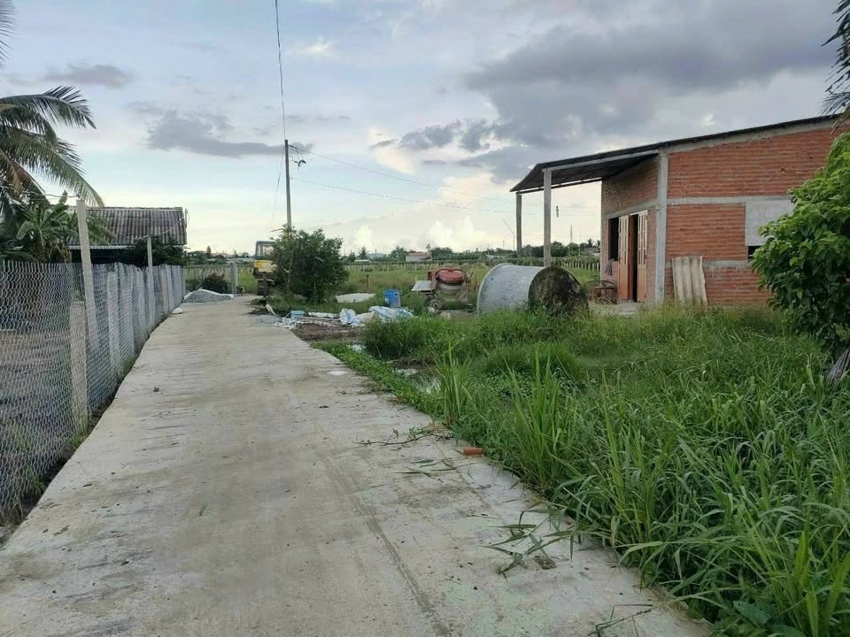 Đất lúa 2300m² xã Hiệp Thạnh, Châu Thành - Giá chỉ 2.3 tỷ, đầu tư sinh lời!