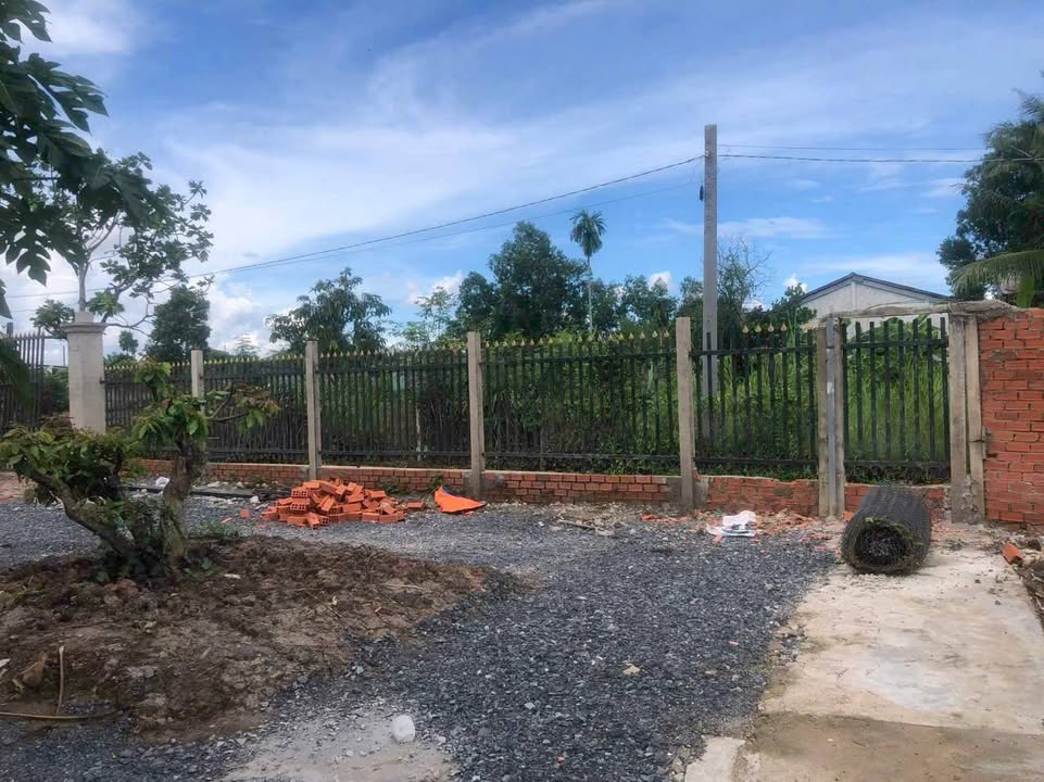 Đất lúa 680m² Phước Lợi Bến Lức giá 1.8 tỷ - Đầu tư sinh lời hấp dẫn!