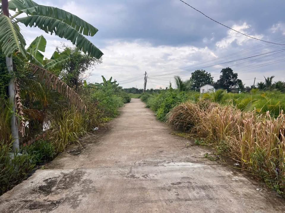 Đất thổ cư Bình Quới Châu Thành 125m² giá 550 triệu - Đất có sẵn nề, chính chủ bán!