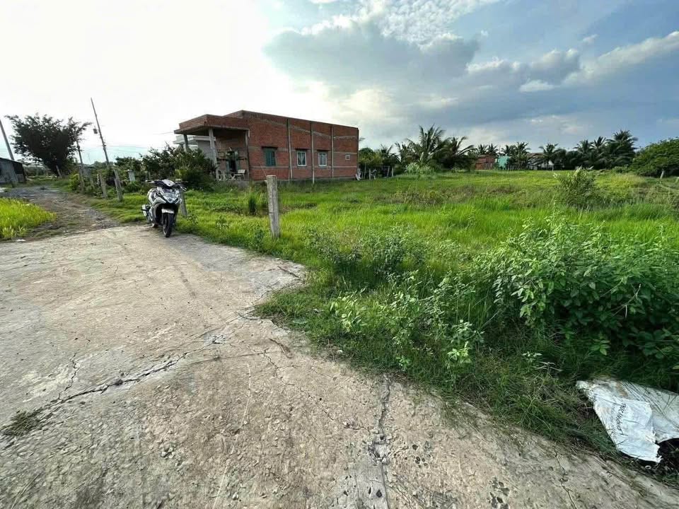 Đất lúa 1531m² tại Nhựt Chánh, Bến Lức chỉ 1.4 tỷ - Cần bán gấp!