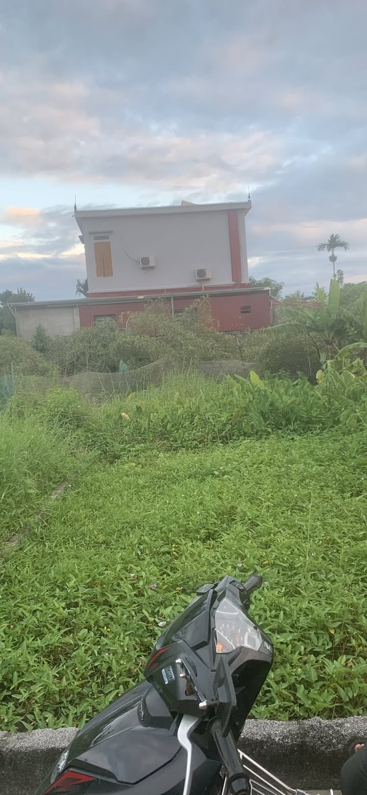 Đất nền Bàng La Đồ Sơn 75m² giá 1 tỷ - Vị trí đẹp, dân cư đông đúc!