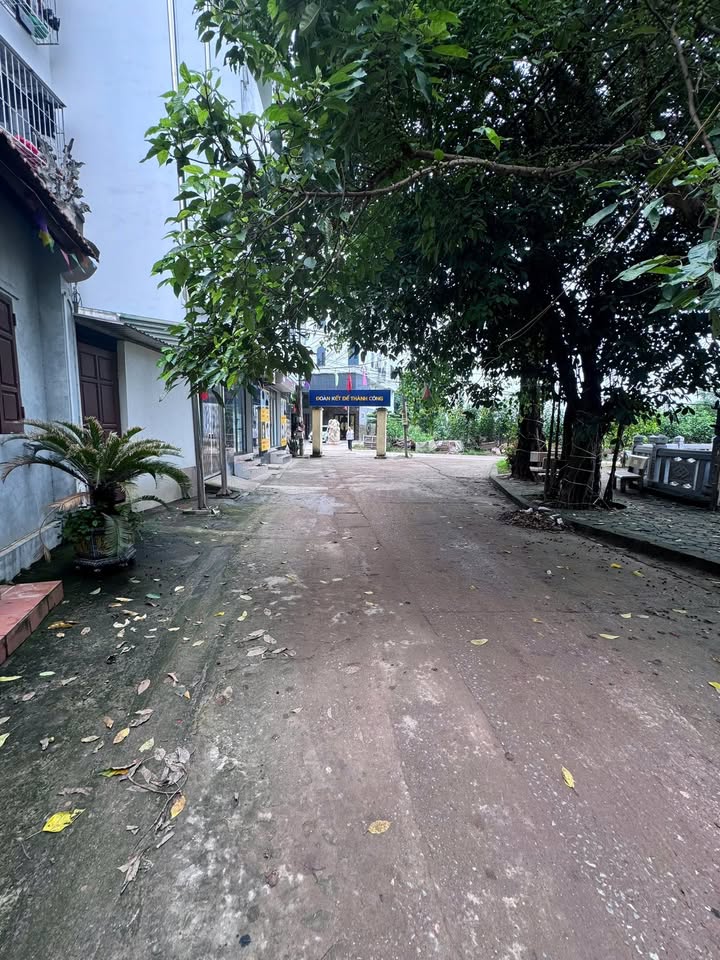 Đất nền Tam Hiệp, Thanh Trì 139m² giá 14.595 tỷ - Vị trí đắc địa, ô tô tránh!