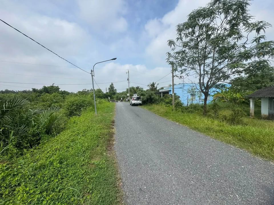 Đất vườn 1070m² tại Ấp 7, xã Tân Ân, Cần Đước - Giá 1.8 tỷ, Đầu tư sinh lời!