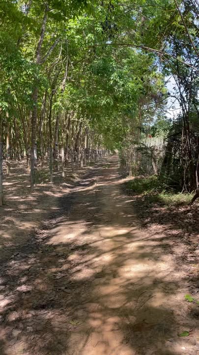 Đất nền Suối Cao, Trảng Bom 4000m² giá 800 triệu - Sổ đỏ chính chủ!