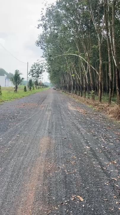 Đất nền Minh Hưng, Chơn Thành 230m² giá chỉ 600 triệu - Cơ hội đầu tư sinh lời!