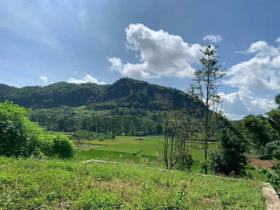 Đất mặt Quốc lộ 43 Mộc Châu 1.100m² - Cơ hội đầu tư kinh doanh hiếm có!