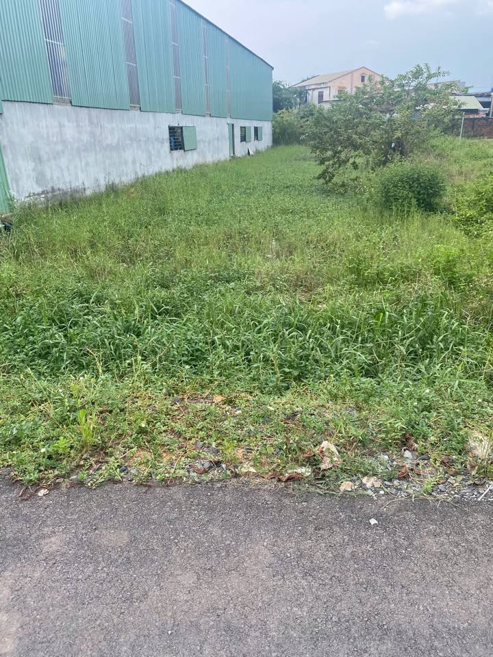 Đất thổ cư 500m² tại Đức Hòa giá 4.5 tỷ - Đường nhựa 6m, thuận tiện giao thông!