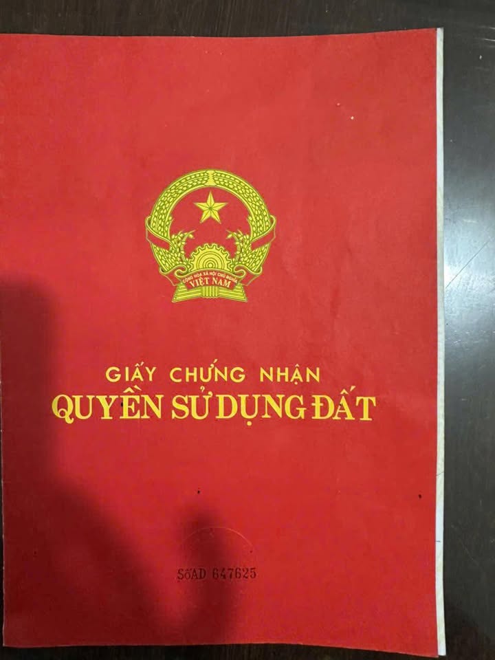 Nhà mặt tiền Xuân Thới Sơn 87m² giá 2.68 tỷ - Đầu tư kinh doanh lý tưởng!