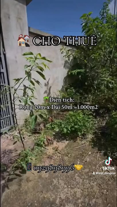 Cho thuê mặt bằng 1000m² tại Long Bình - Đồng Nai, giá thỏa thuận - Cơ hội đầu tư hấp dẫn!