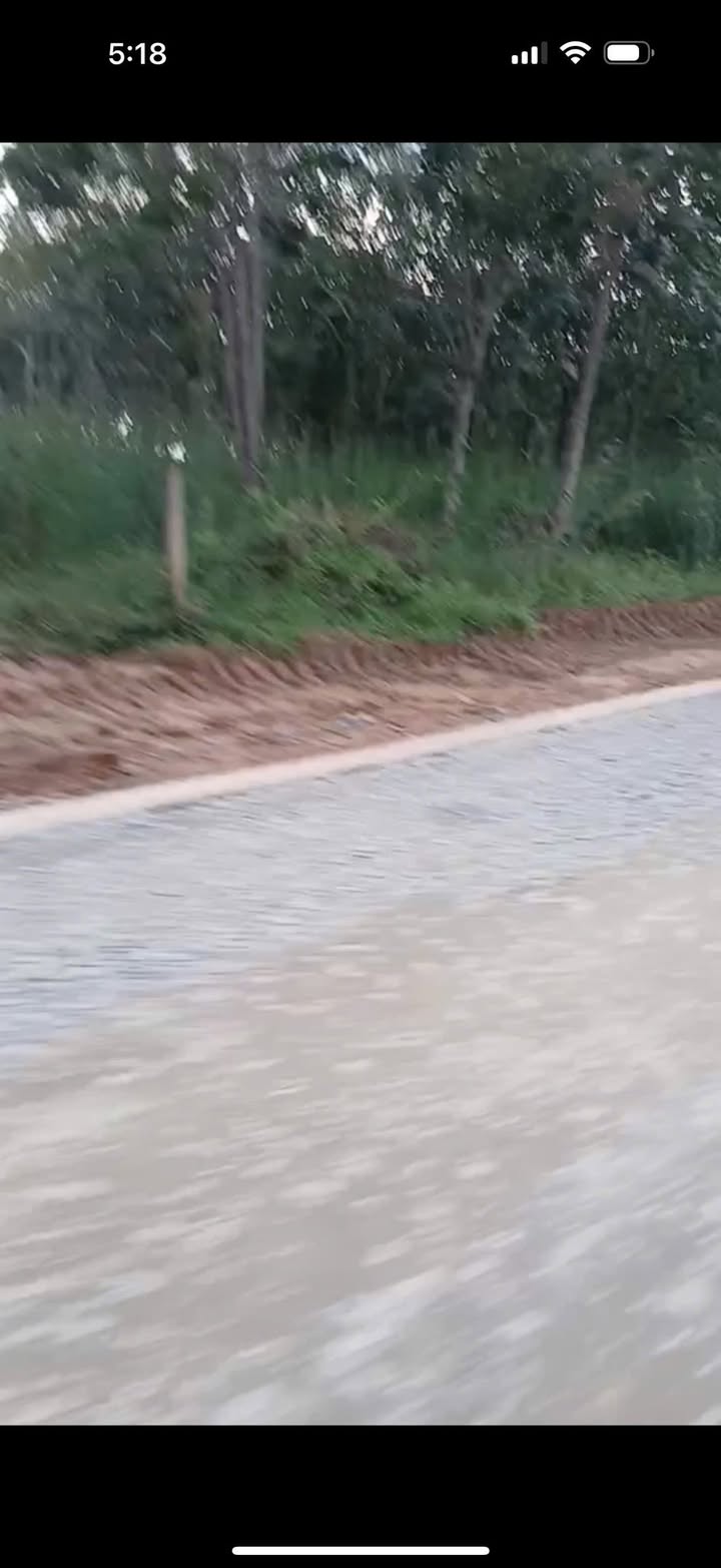 Đất nền 1980m² tại Ấp Đồng Sến, Dầu Tiếng - Giá chỉ 2.5 tỷ, đầu tư sinh lời!