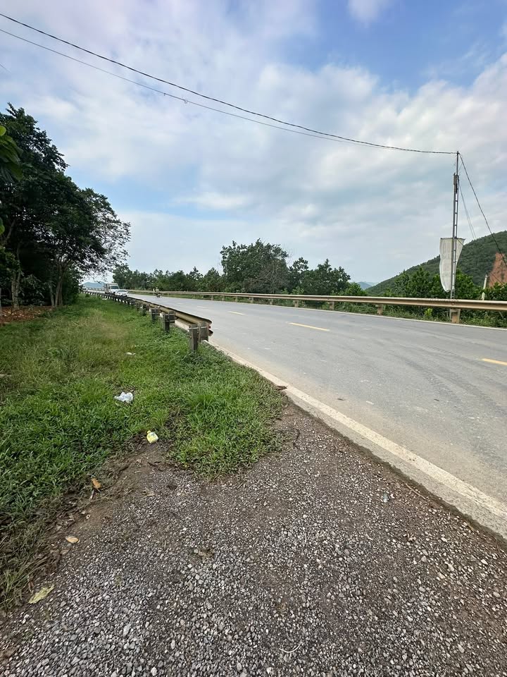 Đất rừng sản xuất 6ha tại Hưng Thi, Lạc Thủy - Giá chỉ 1.8 tỷ, cơ hội đầu tư tuyệt vời!