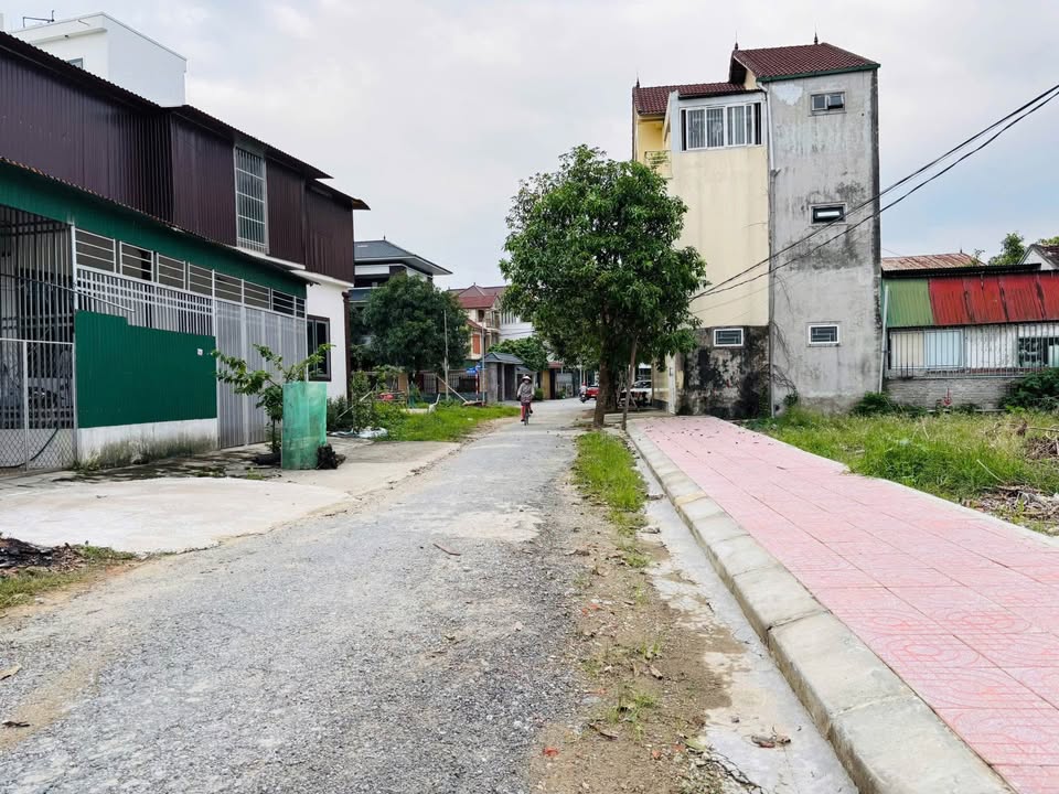 Đất dự án Eurowindow, phường Đông Vĩnh, diện tích 55-82.5m², giá chỉ từ 2 tỷ!