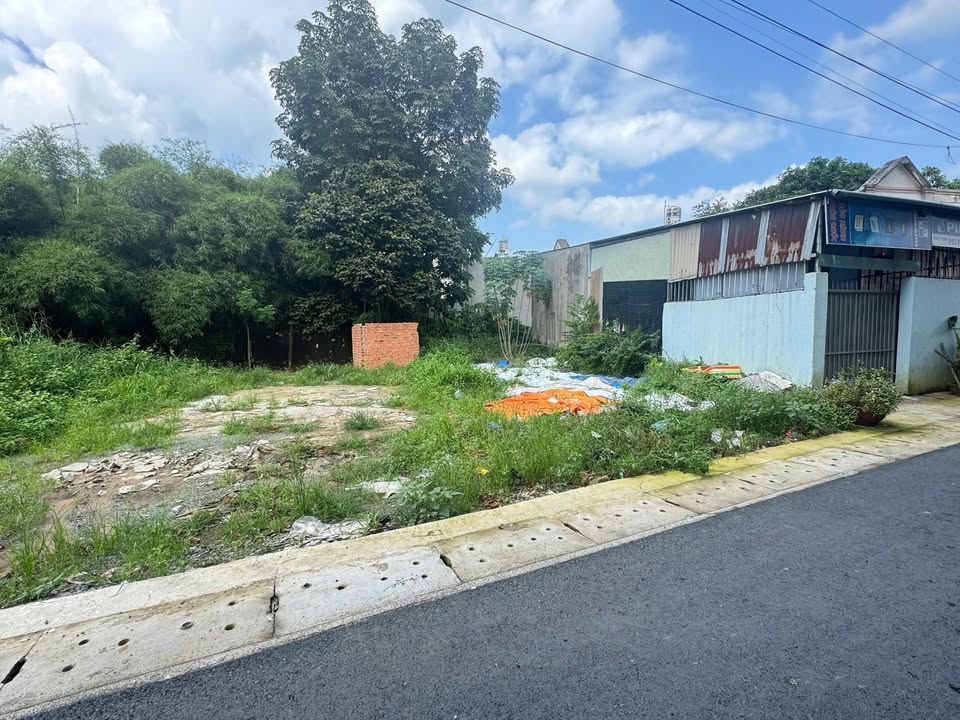 Đất nền Tân An Thủ Dầu Một 96.5m² giá 1.65 tỷ - Tiềm năng đầu tư lớn!