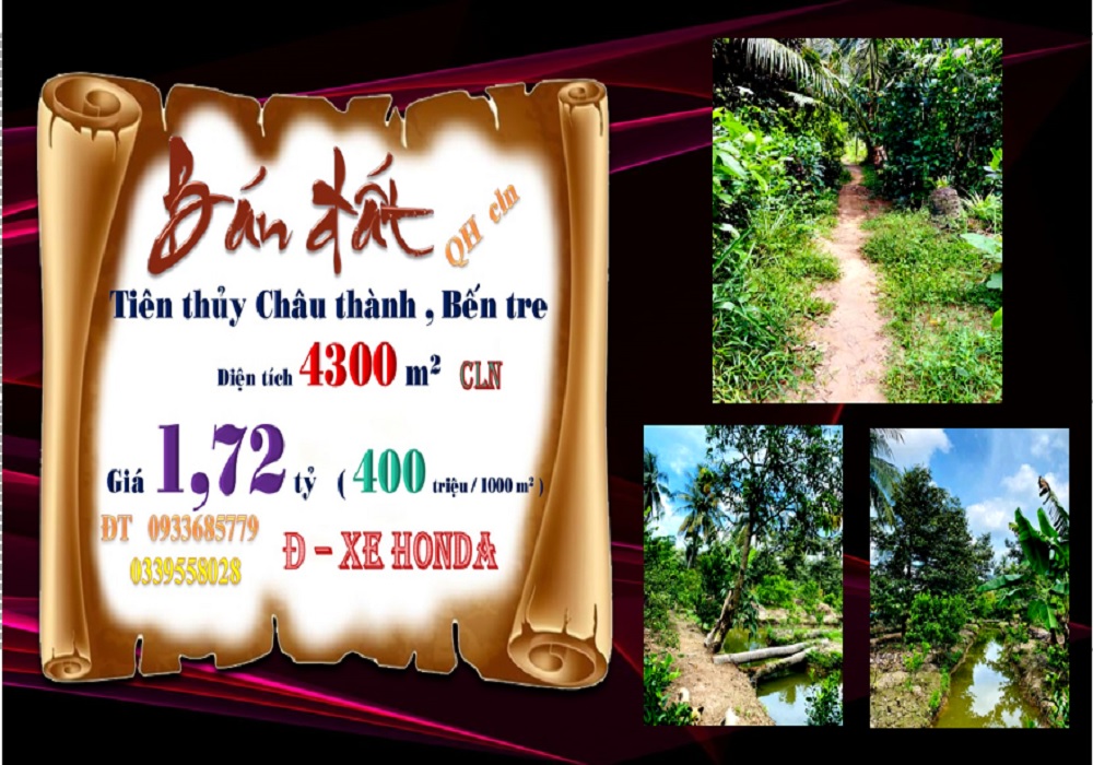 Đất nông nghiệp Tiên Thủy, Châu Thành, Bến Tre 4300m² giá 1.72 tỷ - Đầu tư sinh lời!