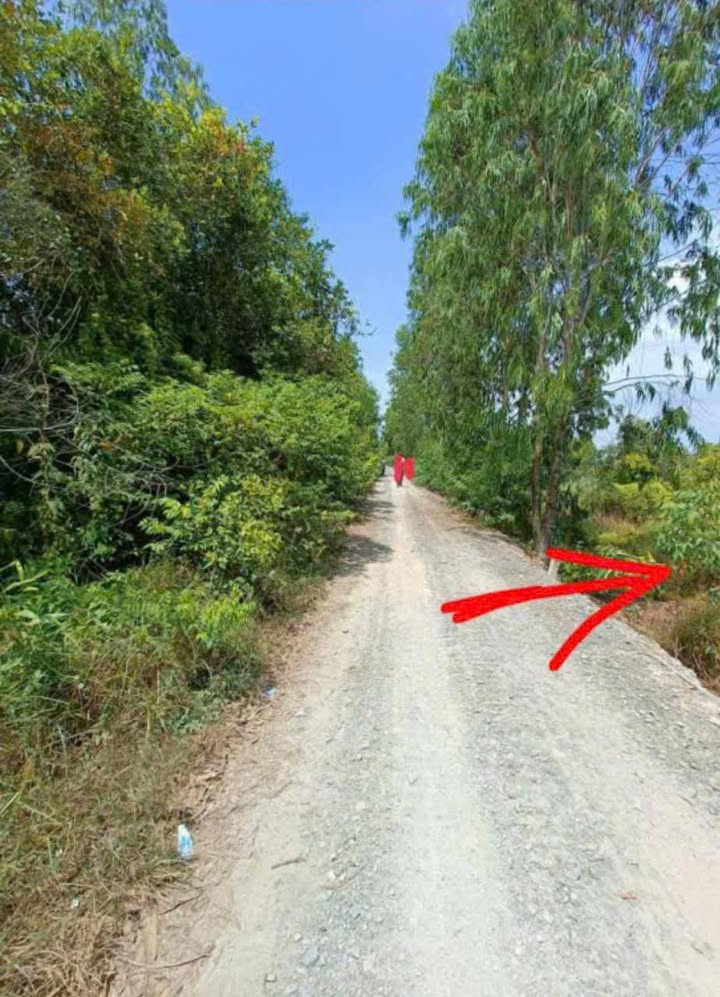 Đất nền thổ cư Tân Phú, Đức Hòa 159m² giá 600 triệu - Cơ hội đầu tư sinh lời!