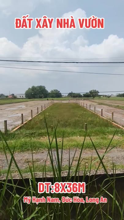 Đất vườn Ấp Giồng Lớn 276m² giá 2 tỷ - View hồ sinh thái đẹp